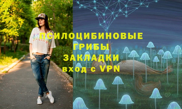 гидра Абинск
