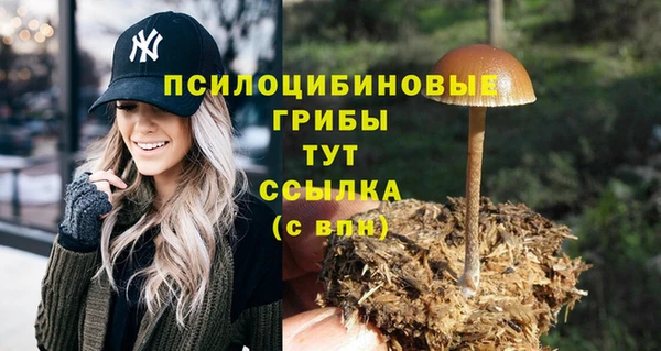 прущий лед Абдулино