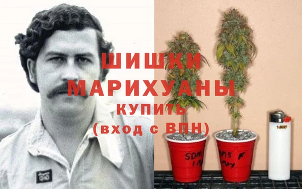 мяу мяу мука Абаза