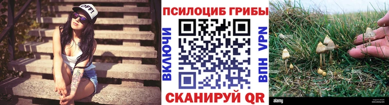 MEGA ССЫЛКА  Власиха  Галлюциногенные грибы прущие грибы 